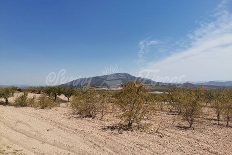 Helårsgrund i Raspay, Murcia, Raspay - € 22.900 | Ref: SF0356 - foto 6